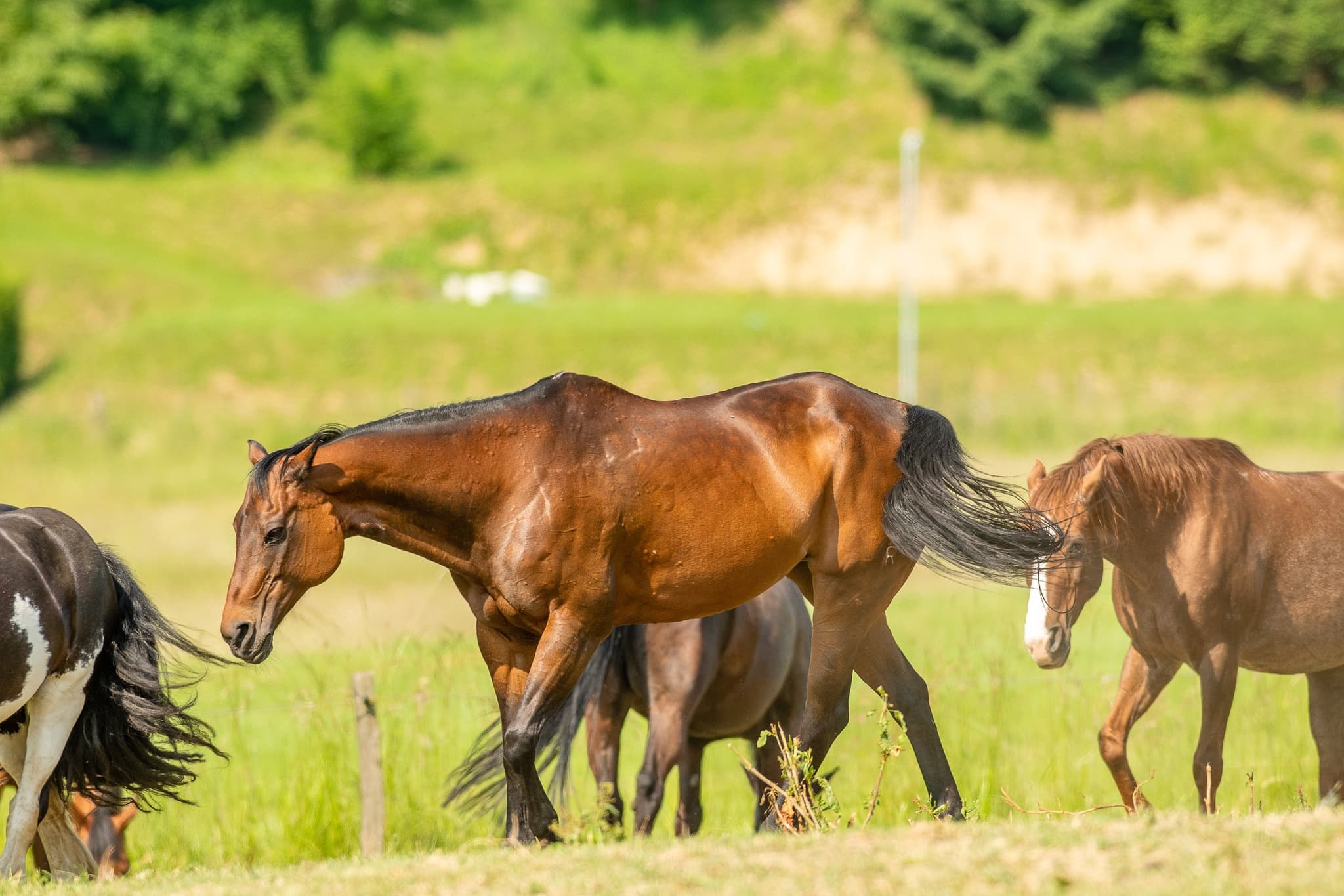 posebna-ponudba-slika